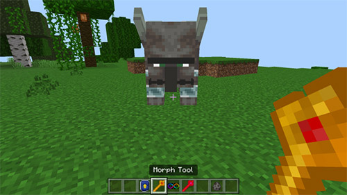 Мод Превращение в мобов для Minecraft PE