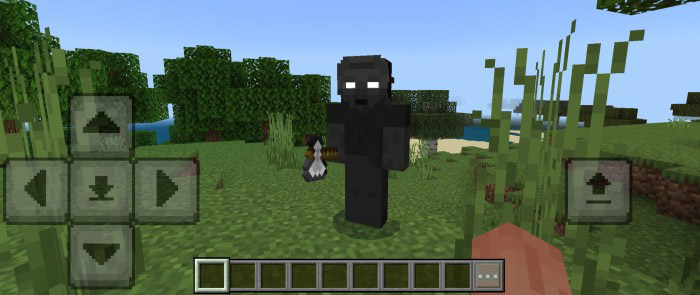 Мод Убийцы для Minecraft PE