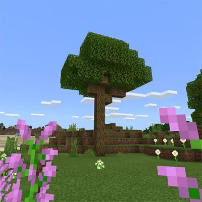 Мод Естественный вид деревьев для Minecraft PE