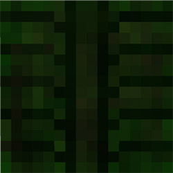 Мод Паразитный апокалипсис для Minecraft PE