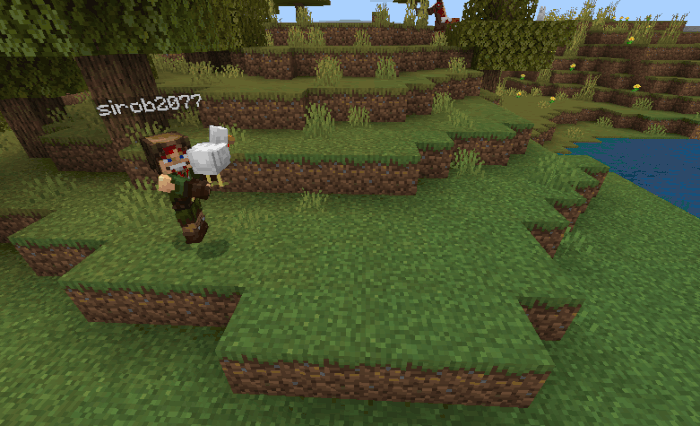 Мод Подними и неси для Minecraft PE