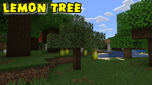 Мод Фрукты на деревьях для Minecraft PE