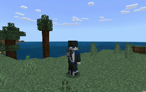 Мод Простое оружие FWS для Minecraft PE