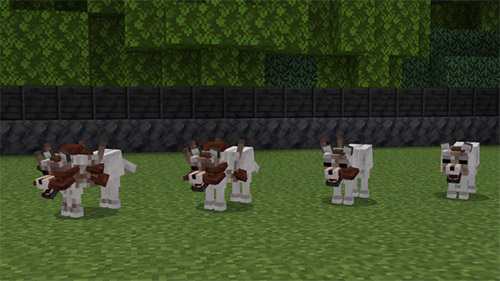 Мод Грибковое заражение для Minecraft PE