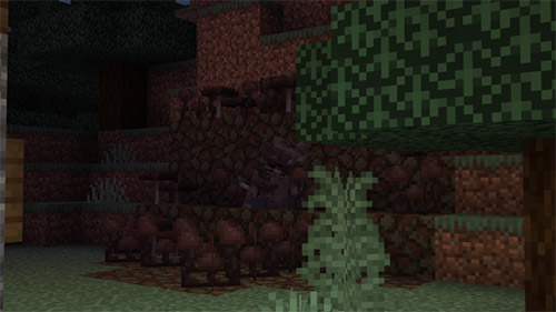 Мод Грибковое заражение для Minecraft PE