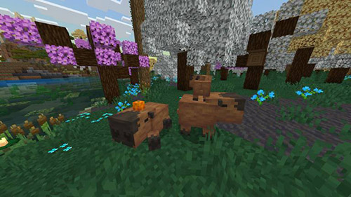Мод "Расширение дикой природы" для Minecraft PE