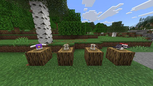 Мод "Расширение дикой природы" для Minecraft PE