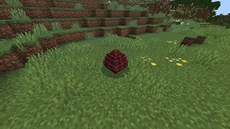 Мод "Последний дракон" для Minecraft PE