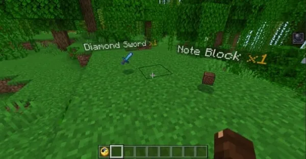 Мод "Названия над выпавшими предметами" для Minecraft PE
